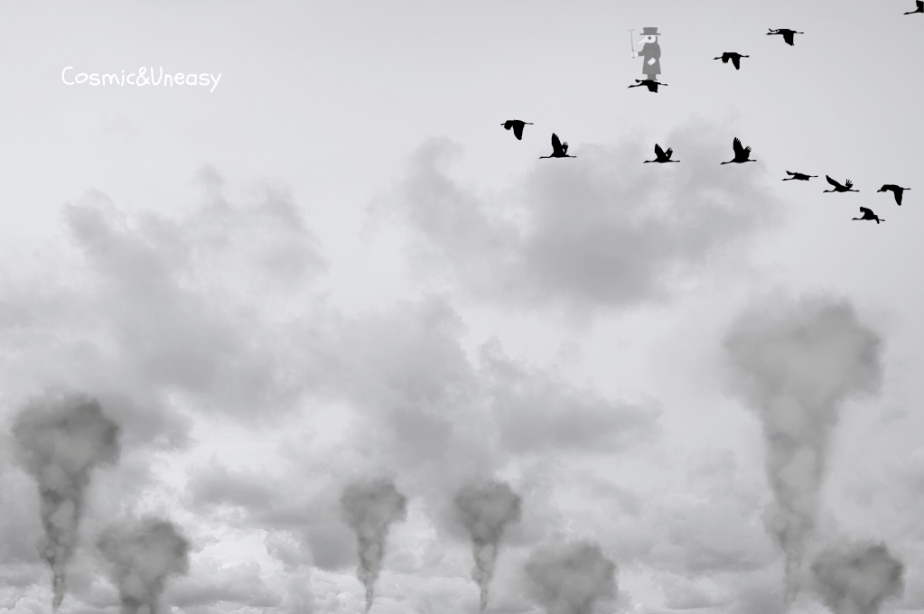 Monocromatico / Monochromatic