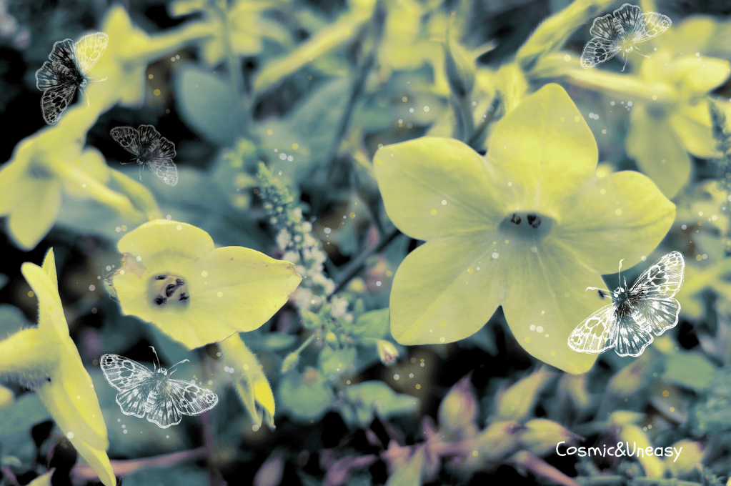 Nabû-kudurri-uṣur