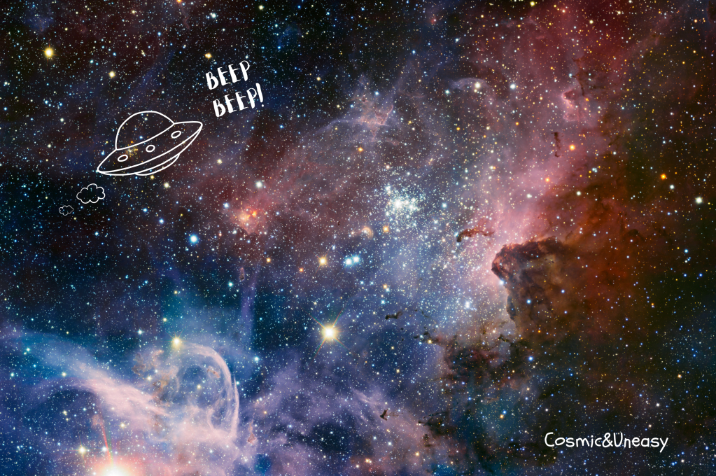 Carina Travel Agency