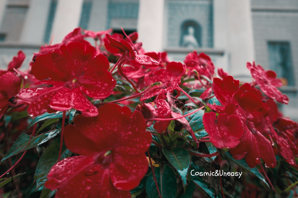 À La Recherche Du Temps Perdu